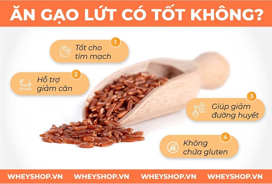 100g gạo lứt bao nhiêu calo? Ăn gạo lứt có tốt không?