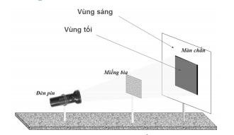 Hình ảnh thí nghiệm 1. (Ảnh: Sưu tầm Internet)