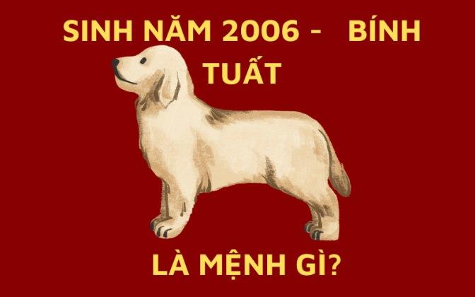 Bính Tuất 2006 thuộc mệnh gì? Hợp màu gì, tuổi nào?