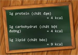 1g protein cung cấp bao nhiêu calo