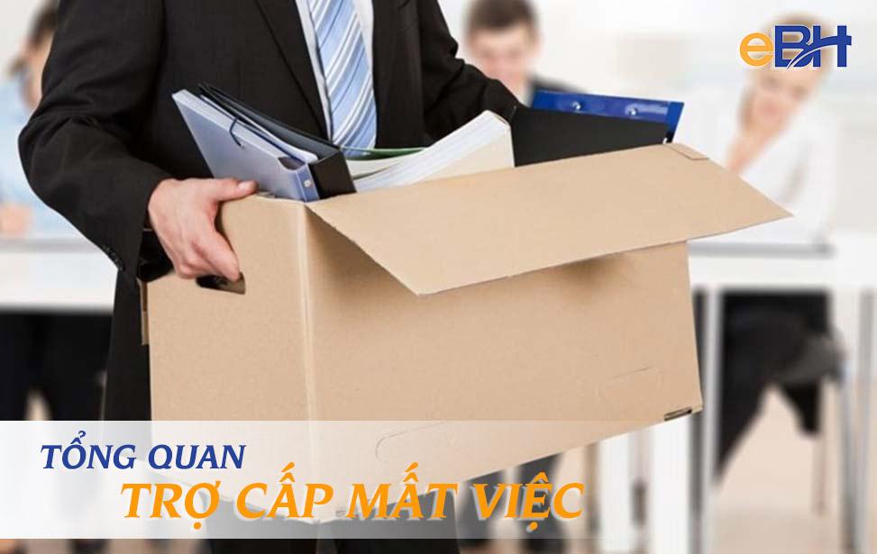 Trợ cấp mất việc là gì?