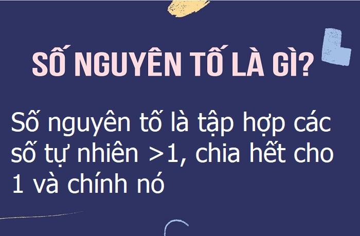 số nguyên tố là số gì