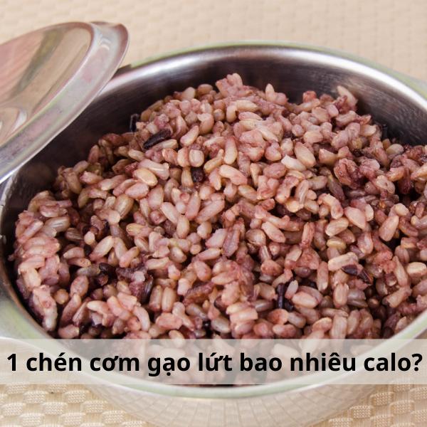 1 chén cơm gạo lứt bao nhiêu calo?