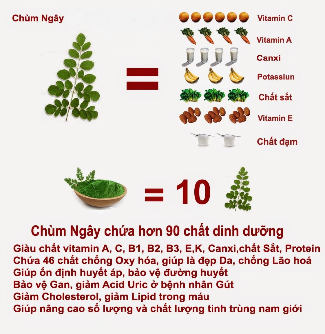 dinh dưỡng trong chùm ngây