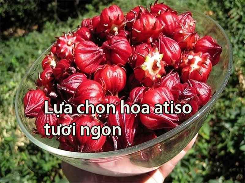 Cách làm hoa atiso khô và cách pha trà atiso đỏ thơm ngon