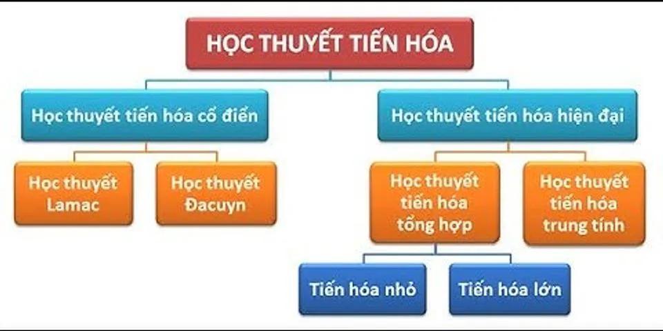 học thuyết tiến hóa tổng hợp hiện đại là gì - bài 26 học thuyết tiến hóa tổng hợp hiện đại