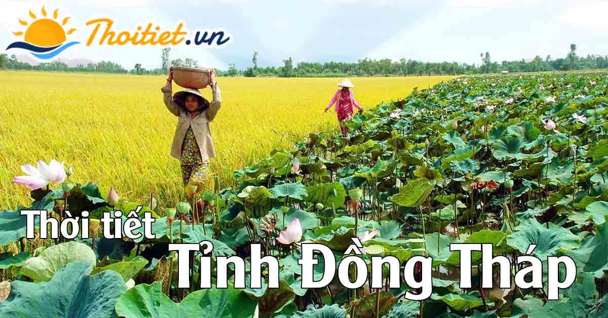 Dự báo thời tiết tỉnh Đồng Tháp