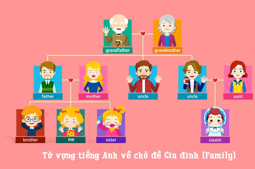 Học 30+ từ vựng tiếng Anh chủ đề gia đình ĐẦY ĐỦ NHẤT