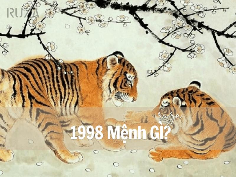 Sinh năm 1998 mệnh gì?