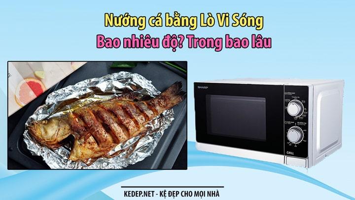 Nướng cá lò vi sóng trong bao lâu với nhiệt độ bao nhiêu?