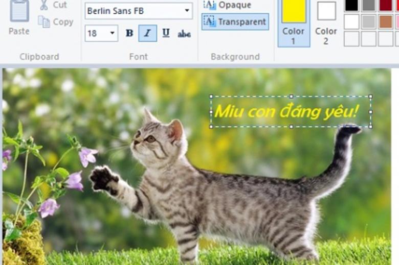 Sử dụng phần mềm chèn chữ vào ảnh trên máy tính, laptop có những công dụng gì?