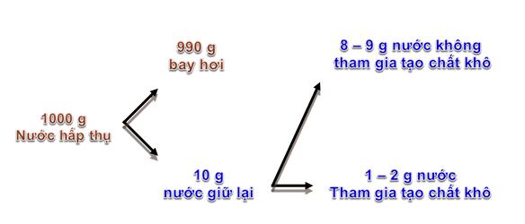 Nhu cầu nước ở thực vật - thoát hơi nước