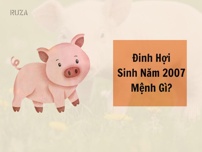 Sinh năm 2007 mệnh gì?