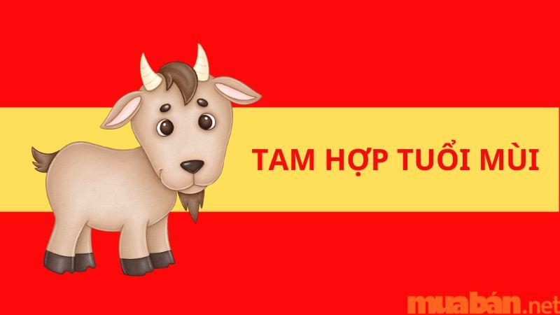 tam hợp tuổi mùi