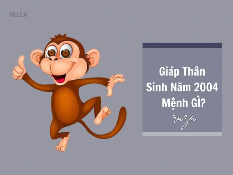 Sinh năm 2004 mệnh gì?