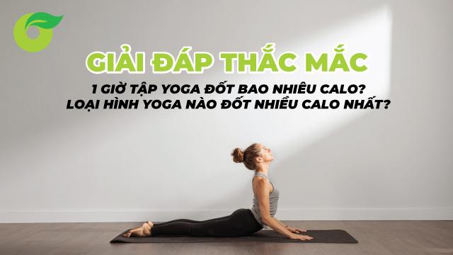 1 giờ tập yoga đốt bao nhiêu calo?