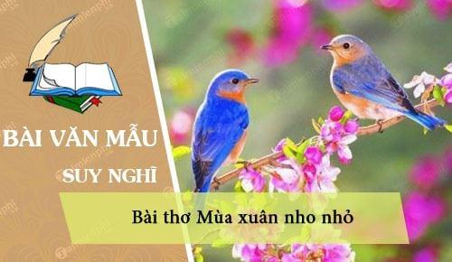 Suy nghĩ cá nhân về bài thơ Mùa xuân nho nhỏ