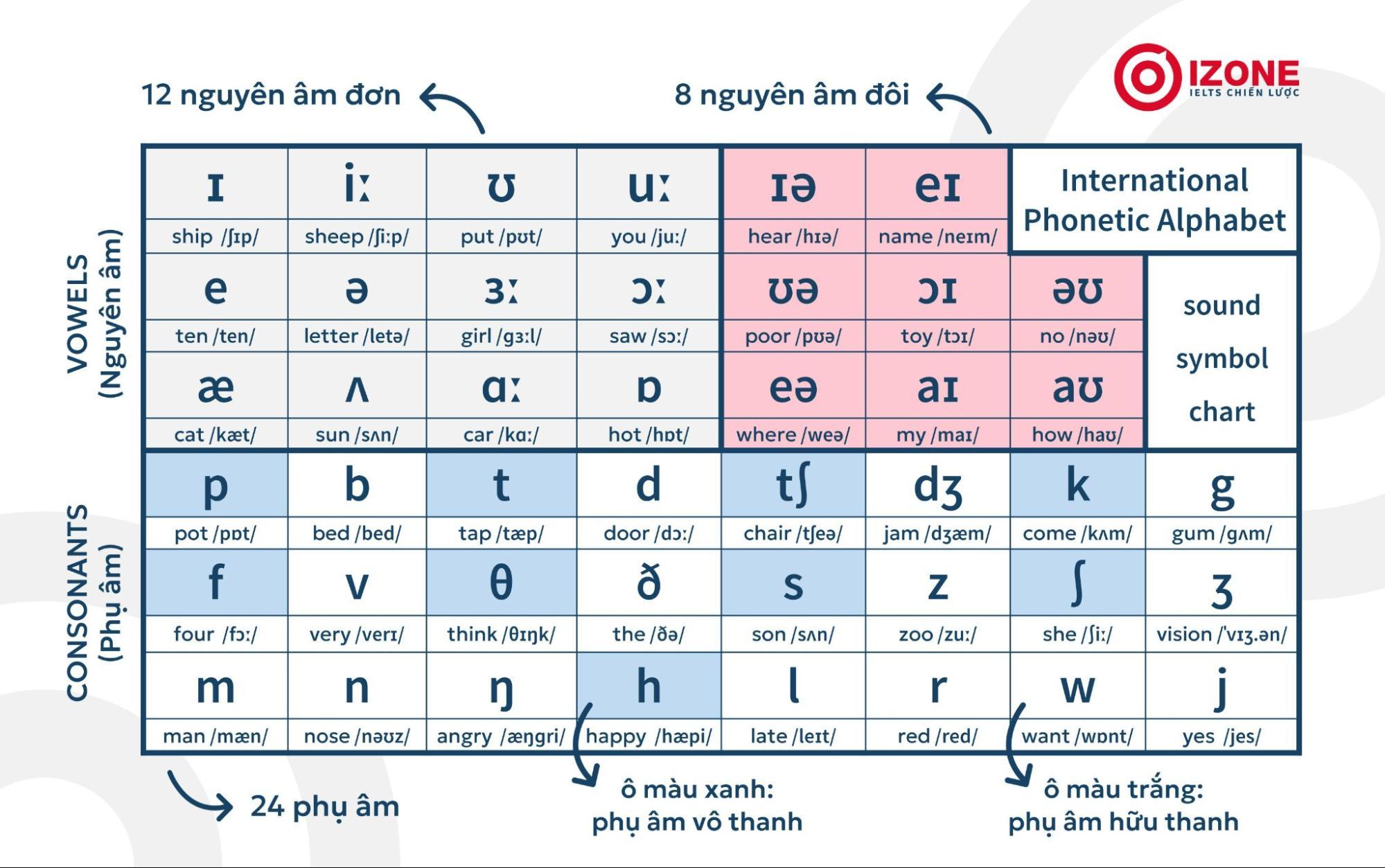 Hướng dẫn người mới học Bảng phiên âm IPA phát âm chuẩn quốc tế