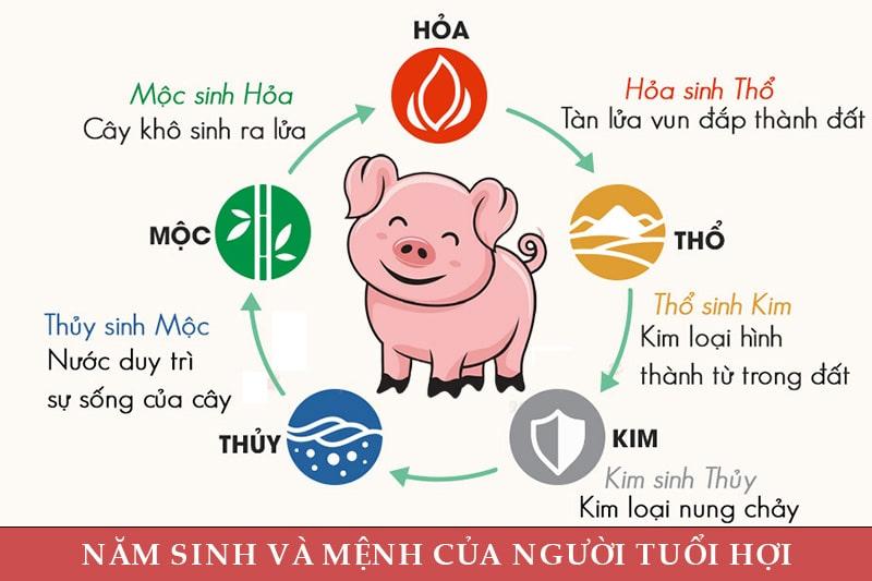 Tuổi Hợi mua xe ô tô màu gì hợp tuổi và kiêng kỵ màu gì?