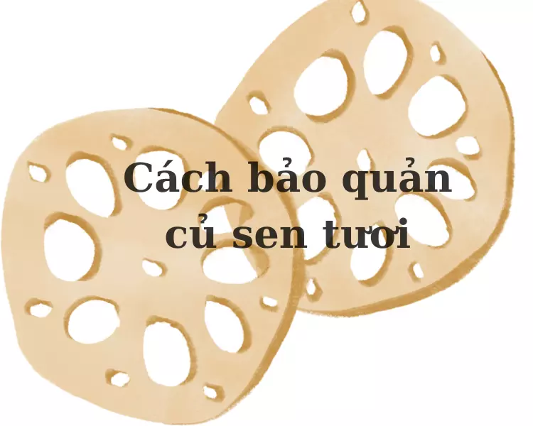 cách bảo quản củ sen tươi