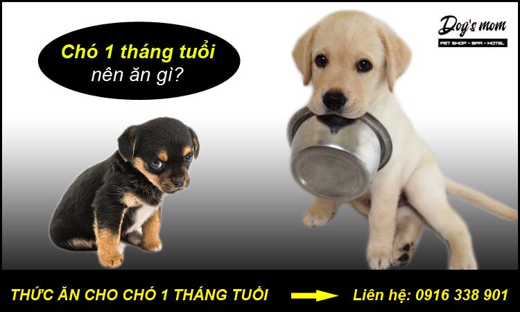 Thức ăn chó 1 tháng tuổi