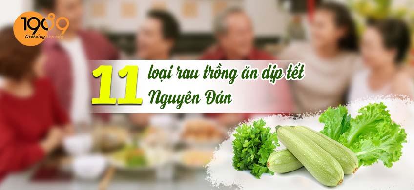 Top 11 các loại rau trồng ăn dịp tết Nguyên Đán đảm bảo dinh dưỡng