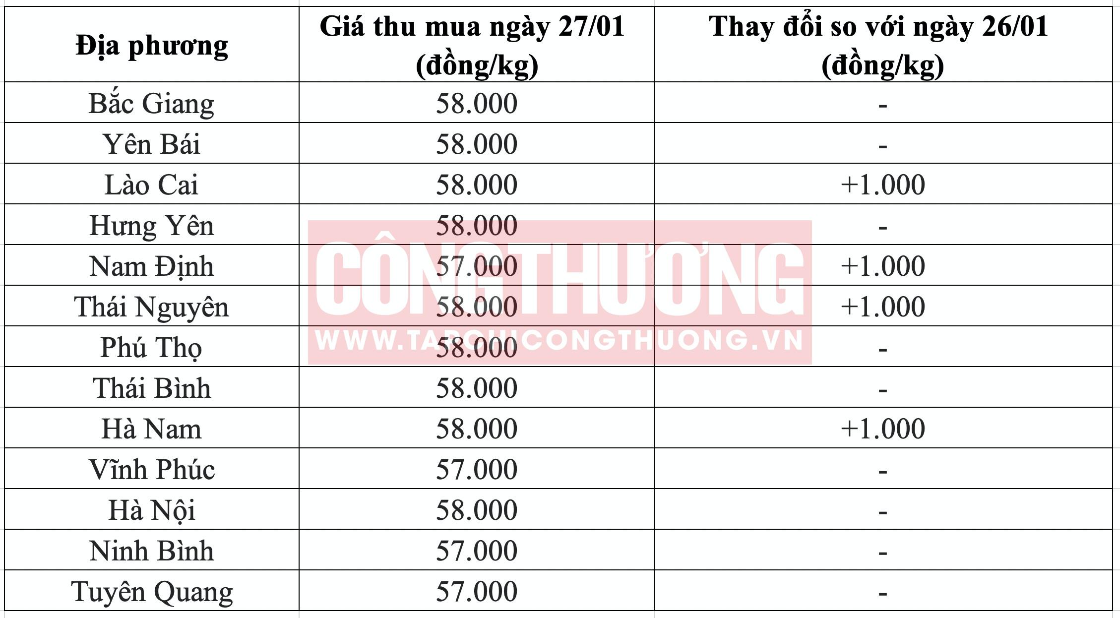 Giá heo hơi hôm nay tại miền Bắc T