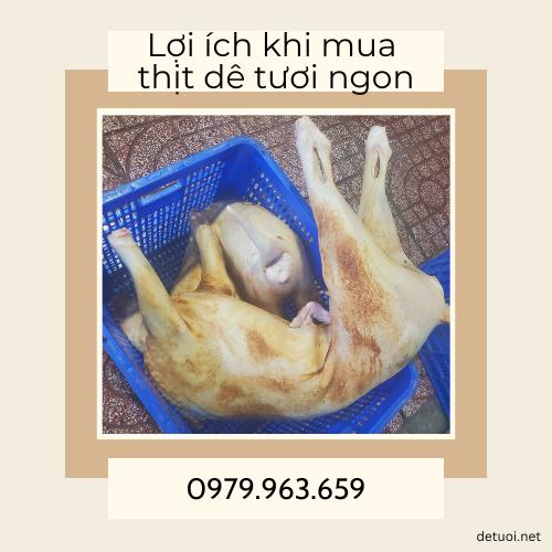 Lợi ích khi mua thịt dê tươi ngon