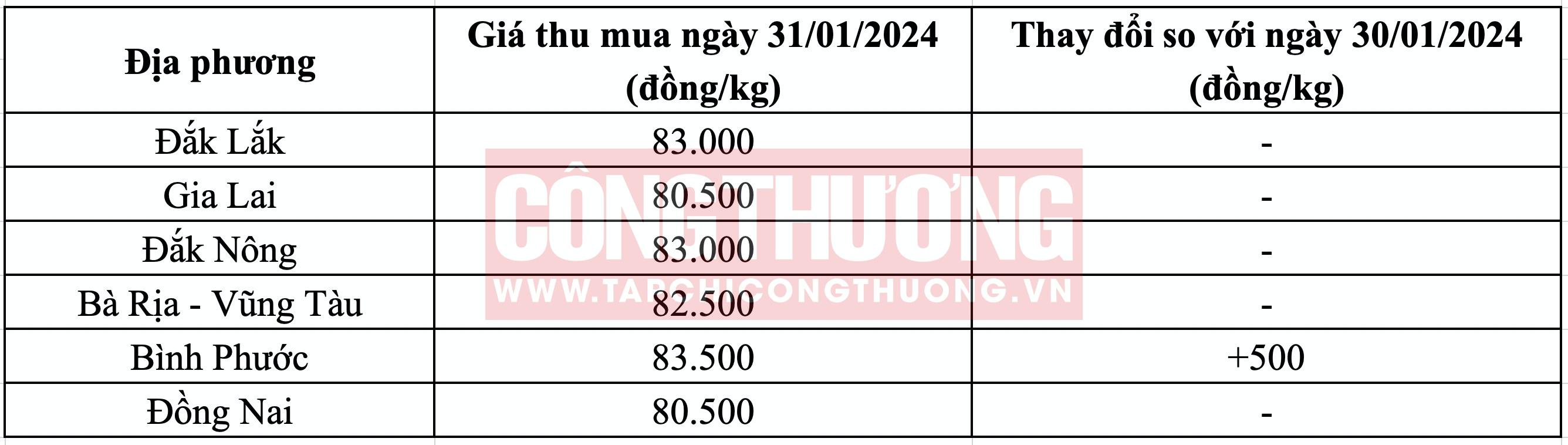 Giá tiêu hôm nay Tạp chí Công Thương