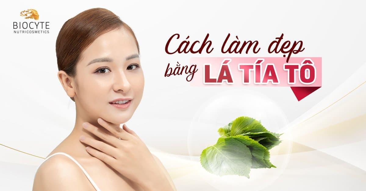 5 cách làm đẹp bằng lá tía tô hiệu quả