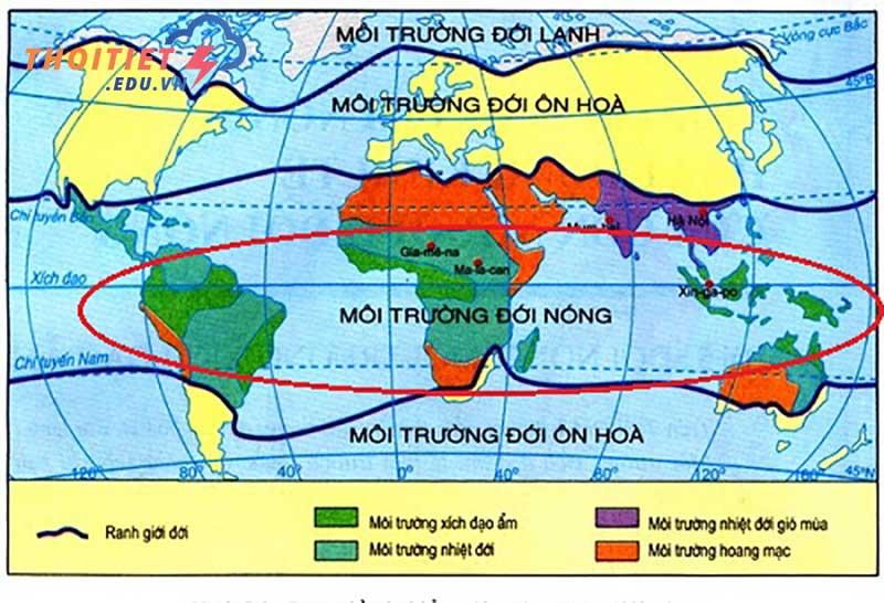 môi trường xích đạo ở châu phi có đặc điểm