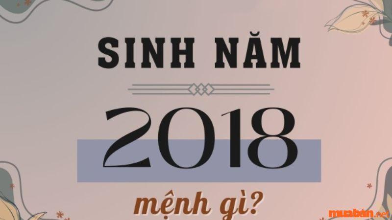 Sinh Năm 2018: Mệnh Gì, Tổng Quan Tử Vi và Phong Thủy