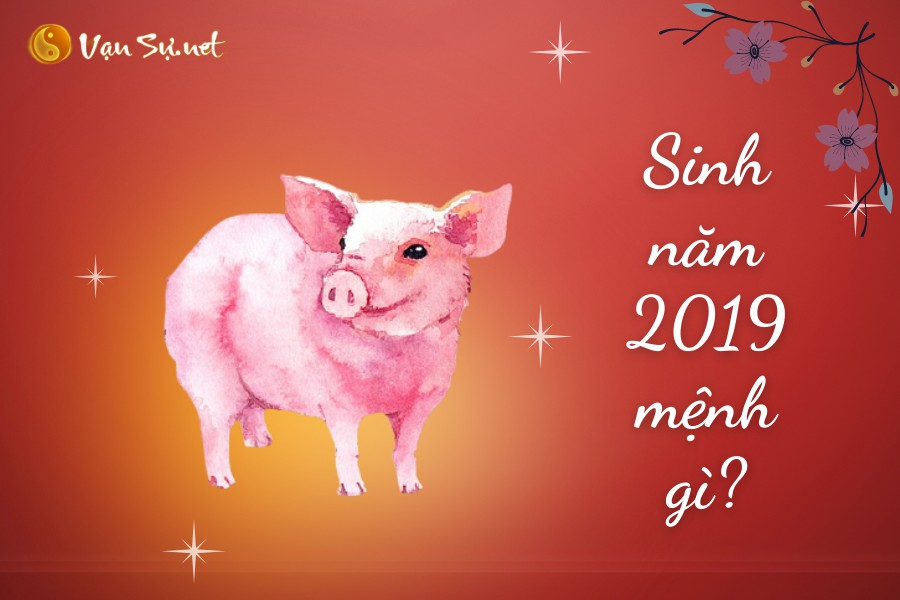 Sinh Năm 2019 Mệnh Gì? Tuổi Kỷ Hợi Hợp Tuổi Nào, Màu Gì?