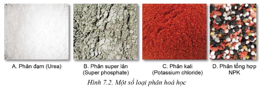 Lý thuyết một số loại phân bón thường dùng trong trồng trọt - Công nghệ 10</>