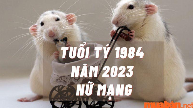 Tuổi tý 1984 năm 2023 nữ mạng