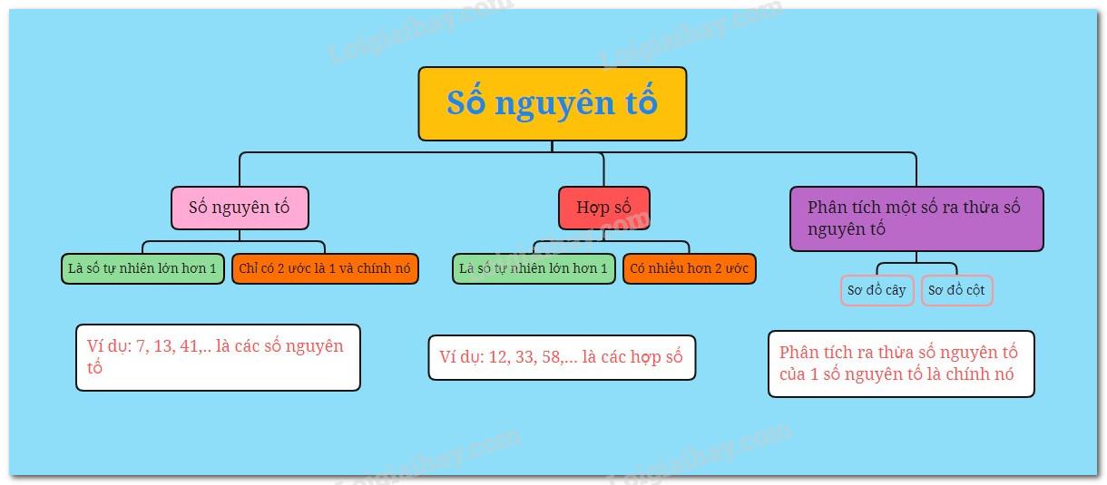 Lý thuyết Số nguyên tố. Hợp số Toán 6 Cánh diều