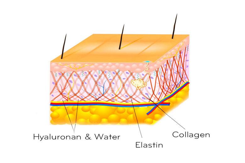 Điều trị lỗ chân lông to da