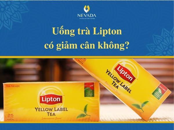 uống trà lipton có giảm cân không, 1 ly trà lipton túi lọc bao nhiêu calo, gói, có đường, cách uống, chanh mật ing, sữa, có béo không, mập, một, bằng