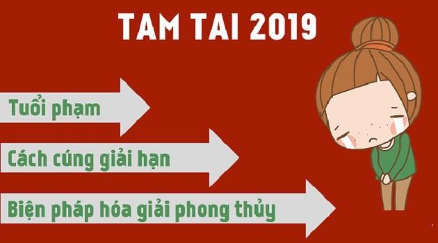 3 con giáp gặp hạn TAM TAI phải làm gì để giảm bớt HAO TÀI TỐN CỦA trong năm 2019?-1