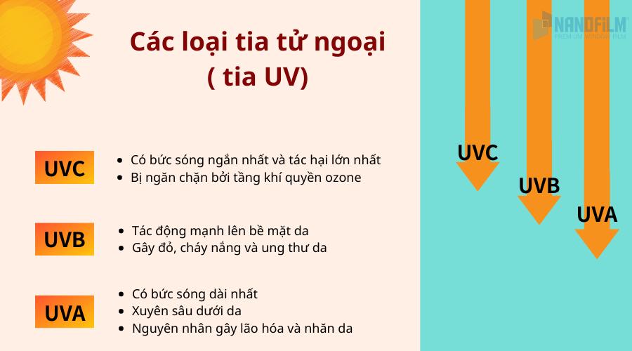 Tia tử ngoại là gì? Tia hồng ngoại là gì? Đặc điểm và ứng dụng ra sao?