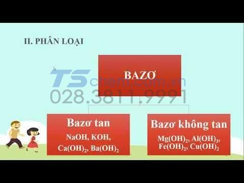 Phân loại Bazơ