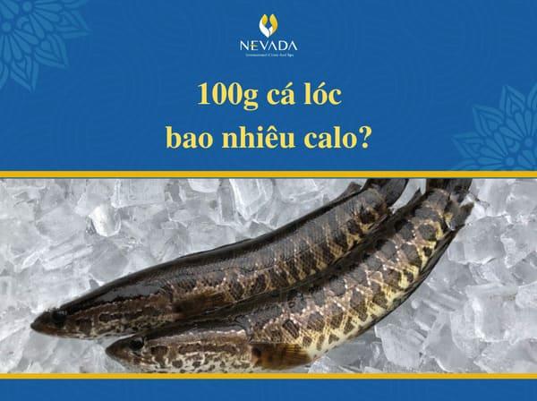 100g cá lóc chứa bao nhiêu calo, đầu, hấp, ăn có mập không, ruột, luộc, trong, chiên, kho tiêu, thành phần dinh dưỡng, giảm cân, cháo, khô, 1 con, protein, 100gr, nướng