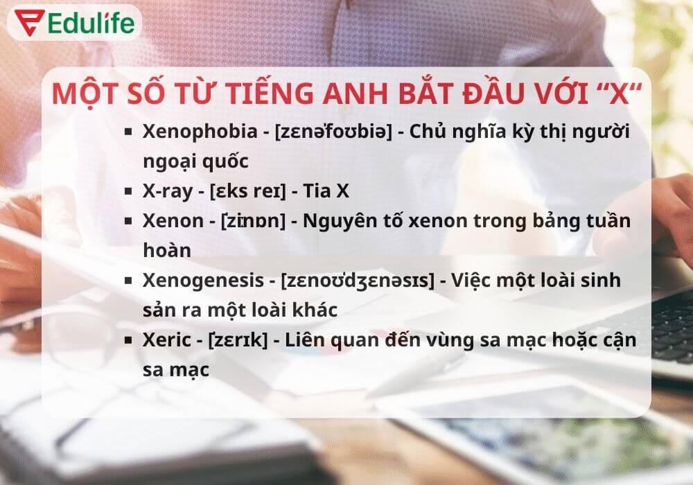 70+ từ vựng tiếng Anh bắt đầu bằng chữ X thông dụng nhất