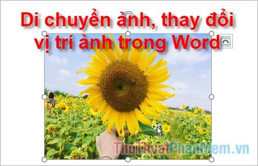 cach di chuyen anh thay doi vi tri anh trong word