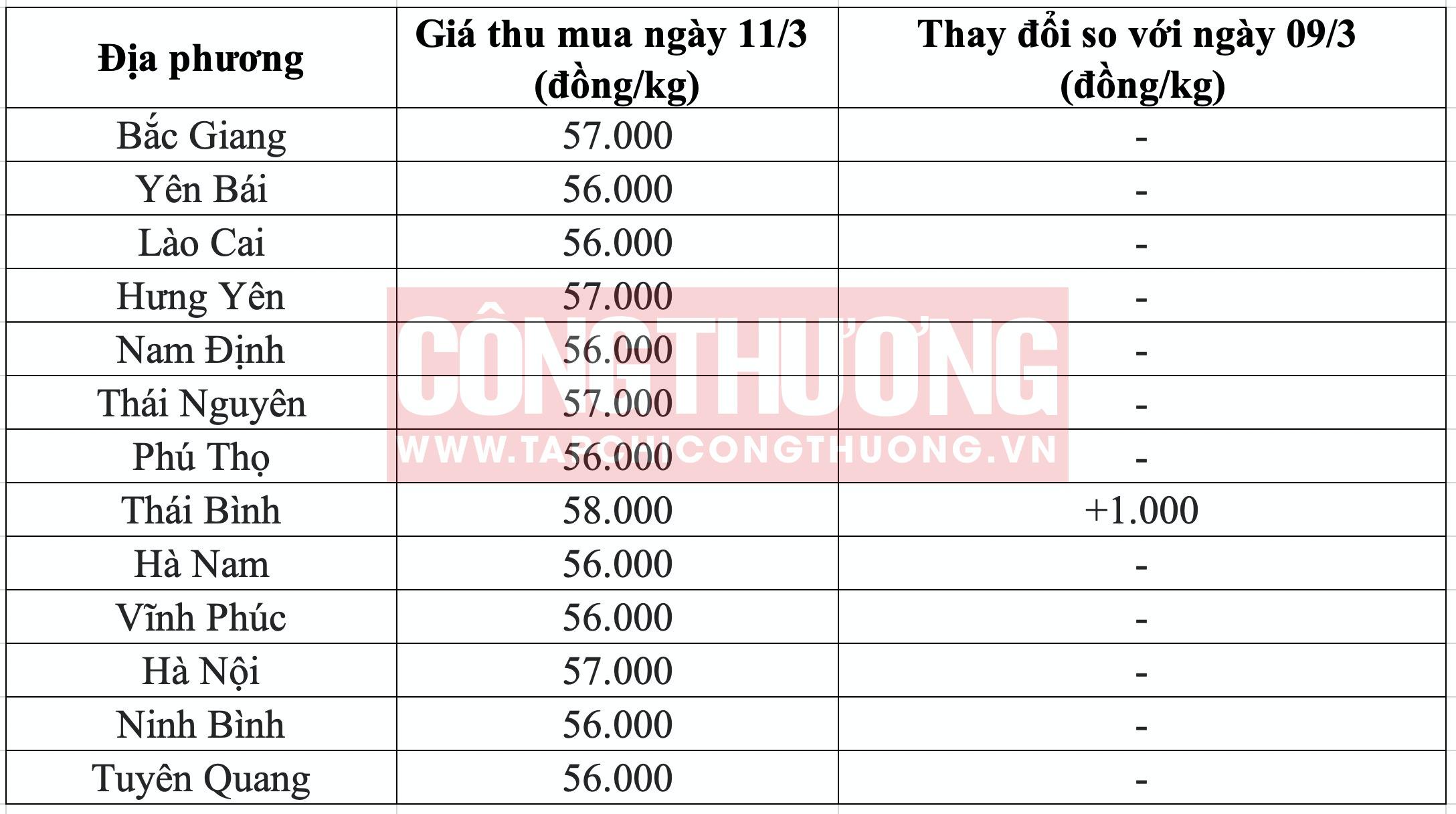 Giá heo hơi hôm nay tại miền Bắc Tạp chí Công Thương