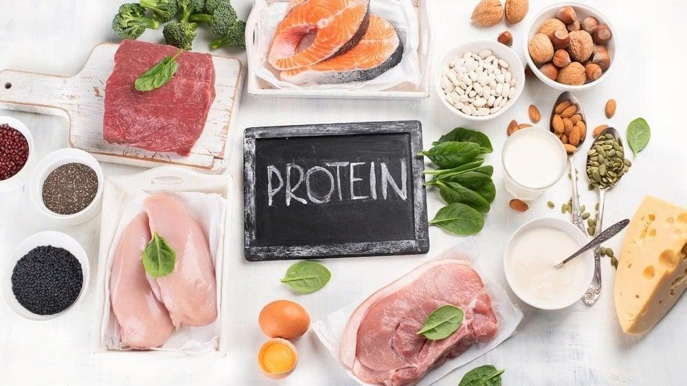 protein là đại phân tử được cấu tạo từ axit amin