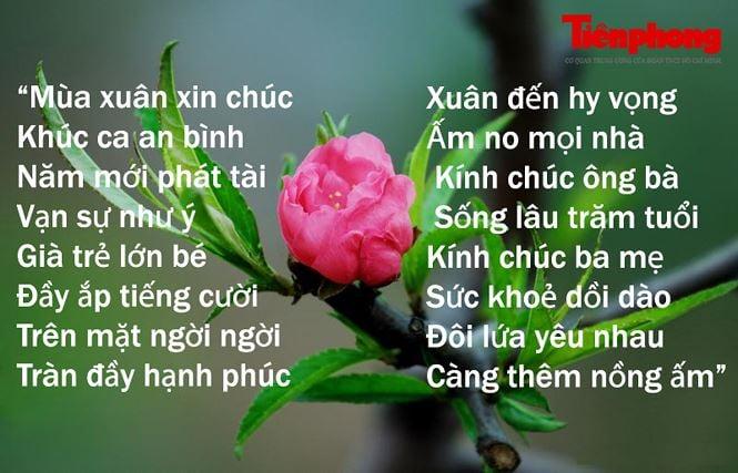 cau_chuc_tet_hay_nhat_bfem