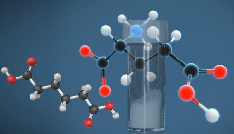 axit-glutamic-1