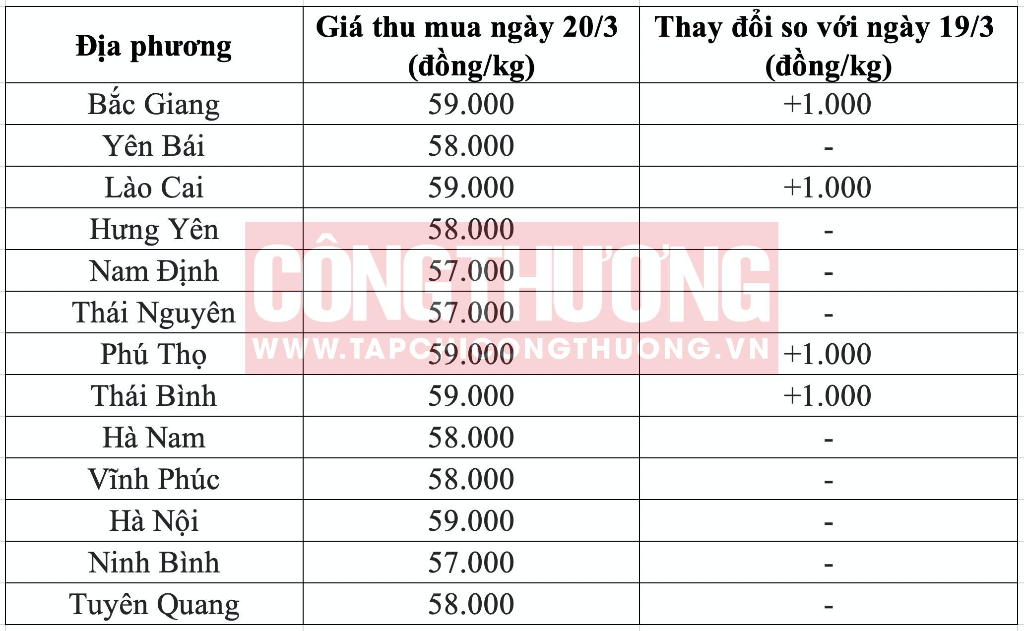 Giá heo hơi hôm nay tại miền Bắc Tạp chí Công Thương