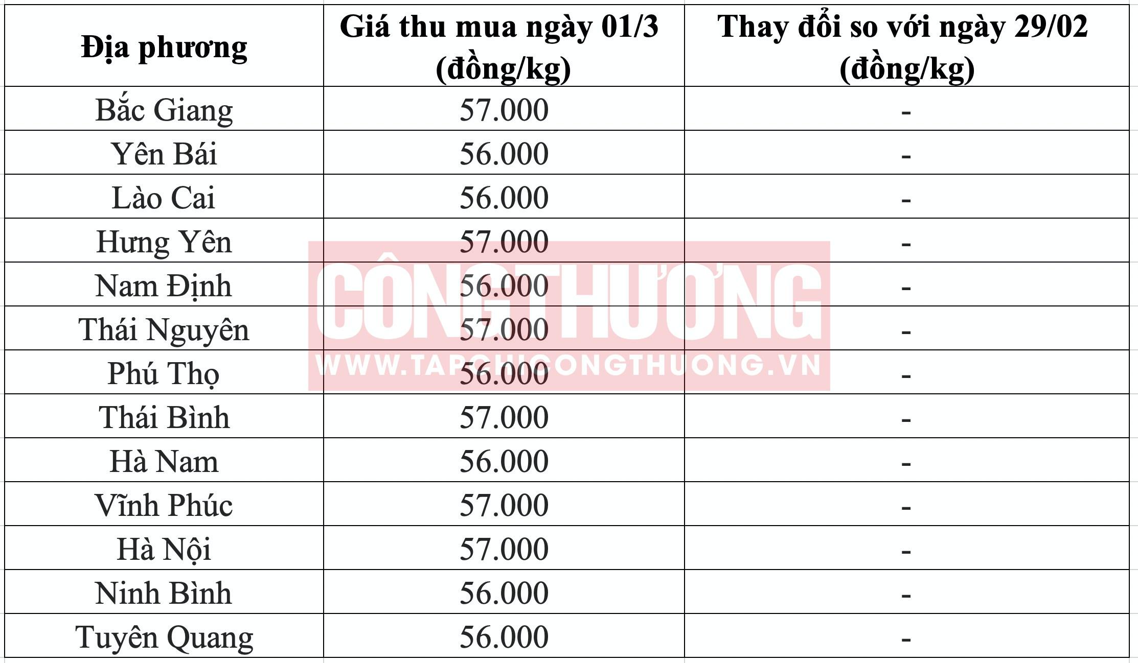 Giá heo hơi hôm nay tại miền Bắc